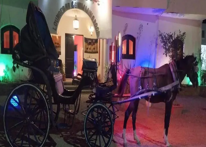 Szálloda L'oasis De Safaga Gurdaka